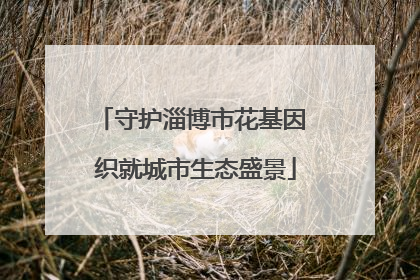 守护淄博市花基因 织就城市生态盛景