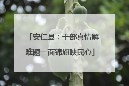 安仁县：干部真情解难题一面锦旗映民心