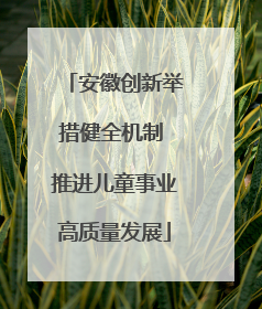 安徽创新举措健全机制 推进儿童事业高质量发展