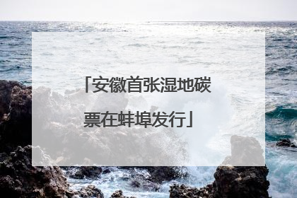 安徽首张湿地碳票在蚌埠发行