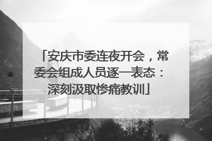 安庆市委连夜开会，常委会组成人员逐一表态：深刻汲取惨痛教训