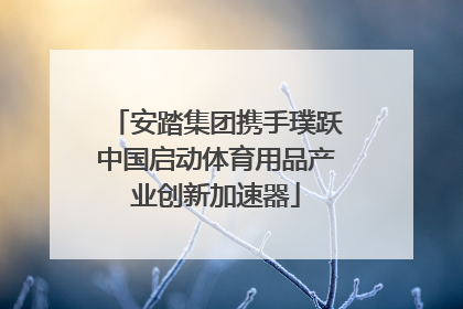 安踏集团携手璞跃中国启动体育用品产业创新加速器