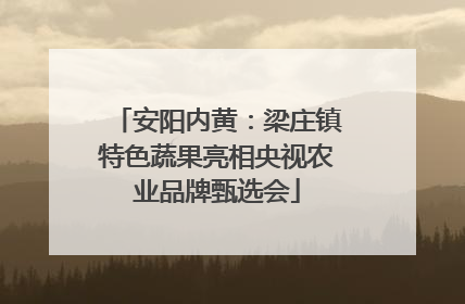 安阳内黄：梁庄镇特色蔬果亮相央视农业品牌甄选会