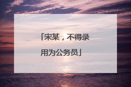 宋某，不得录用为公务员