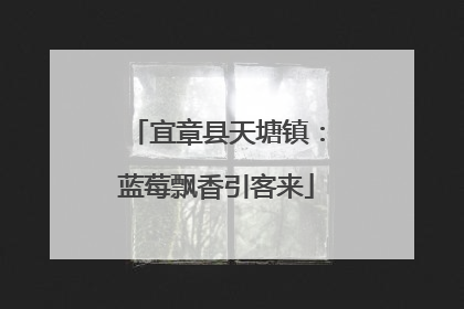 宜章县天塘镇：蓝莓飘香引客来