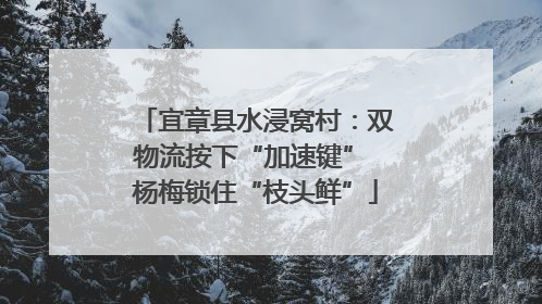 宜章县水浸窝村：双物流按下“加速键” 杨梅锁住“枝头鲜”