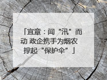 宜章：闻“汛”而动 政企携手为烟农撑起“保护伞”