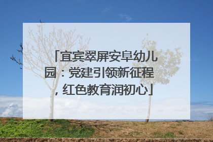 宜宾翠屏安阜幼儿园：党建引领新征程，红色教育润初心