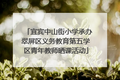 宜宾中山街小学承办翠屏区义务教育第五学区青年教师晒课活动