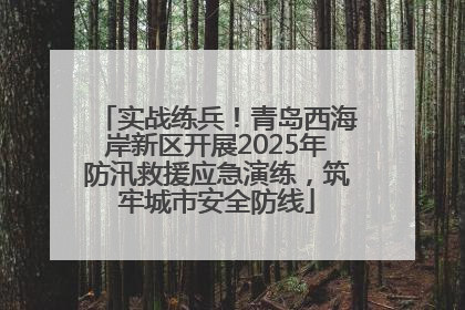 实战练兵！青岛西海岸新区开展2025年防汛救援应急演练，筑牢城市安全防线