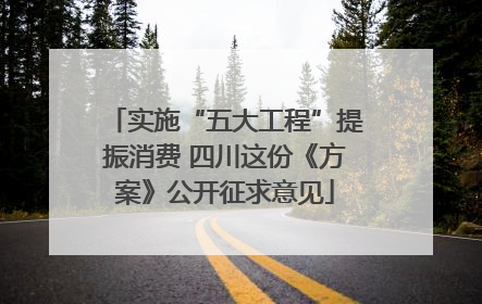 实施“五大工程”提振消费 四川这份《方案》公开征求意见