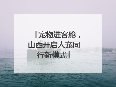 宠物进客舱，山西开启人宠同行新模式