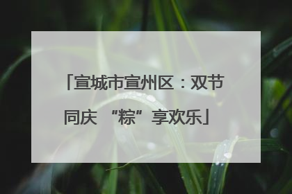 宣城市宣州区：双节同庆 “粽”享欢乐