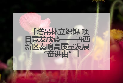 塔吊林立织锦 项目竞发成势——鲁西新区奏响高质量发展“奋进曲”