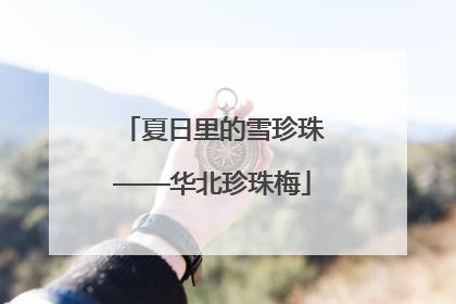夏日里的雪珍珠——华北珍珠梅