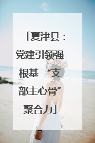 夏津县：党建引领强根基 “支部主心骨”聚合力