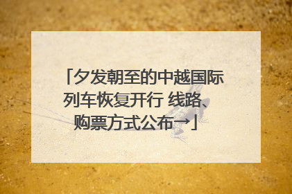 夕发朝至的中越国际列车恢复开行 线路、购票方式公布→