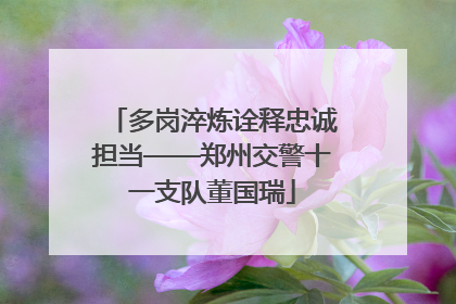 多岗淬炼诠释忠诚担当——郑州交警十一支队董国瑞