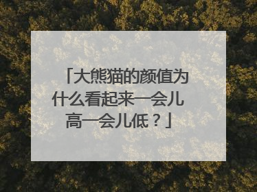 大熊猫的颜值为什么看起来一会儿高一会儿低？