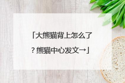 大熊猫背上怎么了？熊猫中心发文→