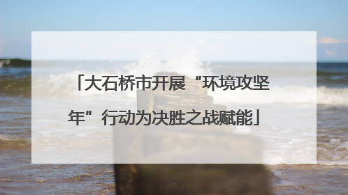 大石桥市开展“环境攻坚年”行动为决胜之战赋能