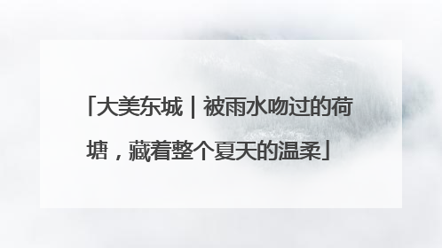 大美东城｜被雨水吻过的荷塘，藏着整个夏天的温柔