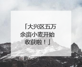 大兴区五万余亩小麦开始收获啦！