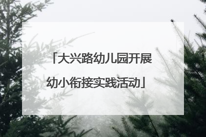 大兴路幼儿园开展幼小衔接实践活动