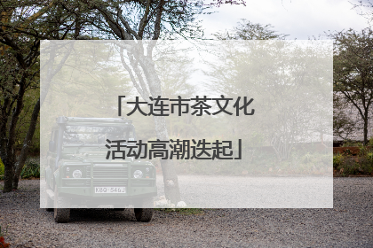 大连市茶文化活动高潮迭起