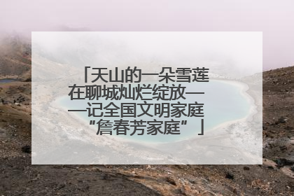 天山的一朵雪莲在聊城灿烂绽放——记全国文明家庭“詹春芳家庭”