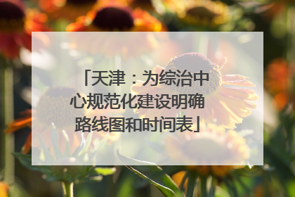 天津：为综治中心规范化建设明确路线图和时间表