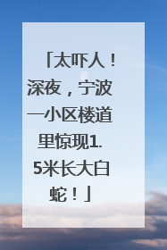 太吓人！深夜，宁波一小区楼道里惊现1.5米长大白蛇！