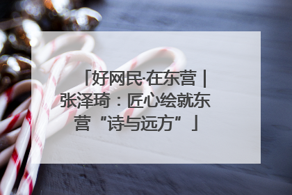 好网民·在东营｜张泽琦：匠心绘就东营“诗与远方”
