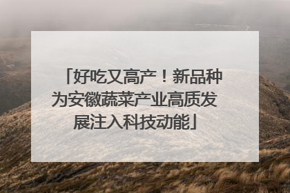 好吃又高产！新品种为安徽蔬菜产业高质发展注入科技动能
