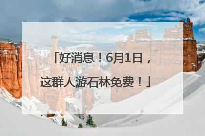 好消息！6月1日，这群人游石林免费！