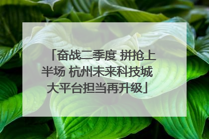 奋战二季度 拼抢上半场 杭州未来科技城大平台担当再升级