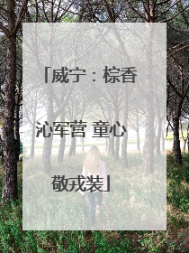 威宁：棕香沁军营 童心敬戎装