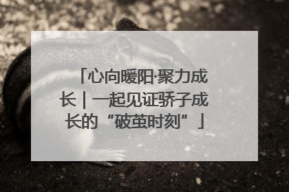 心向暖阳·聚力成长｜一起见证骄子成长的“破茧时刻”