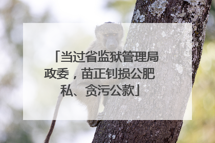 当过省监狱管理局政委，苗正钊损公肥私、贪污公款