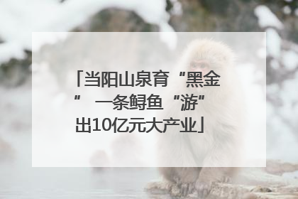 当阳山泉育“黑金” 一条鲟鱼“游”出10亿元大产业