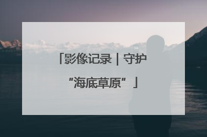 影像记录｜守护“海底草原”