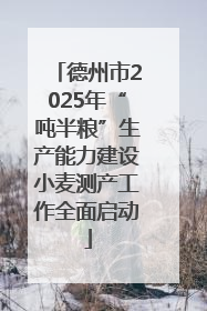 德州市2025年“吨半粮”生产能力建设小麦测产工作全面启动