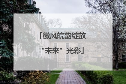 徽风皖韵绽放“未来”光彩
