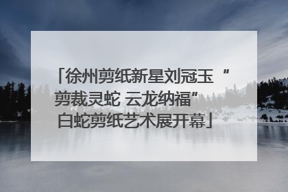 徐州剪纸新星刘冠玉“剪裁灵蛇 云龙纳福” 白蛇剪纸艺术展开幕