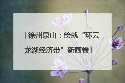 徐州泉山：绘就“环云龙湖经济带”新画卷
