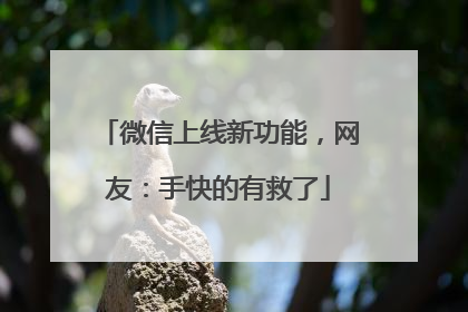 微信上线新功能，网友：手快的有救了