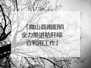微山县南阳镇全力推进秸秆综合利用工作