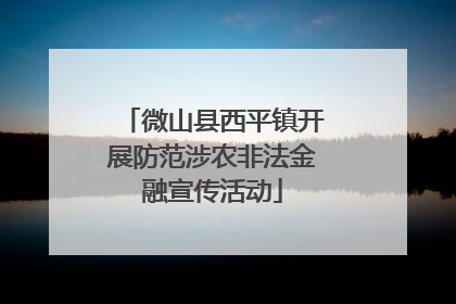 微山县西平镇开展防范涉农非法金融宣传活动