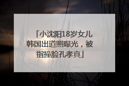 小沈阳18岁女儿韩国出道照曝光，被指撞脸孔孝真