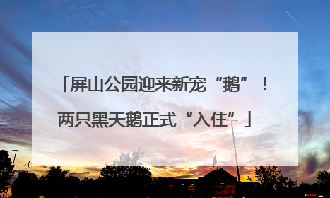 屏山公园迎来新宠“鹅”！两只黑天鹅正式“入住”